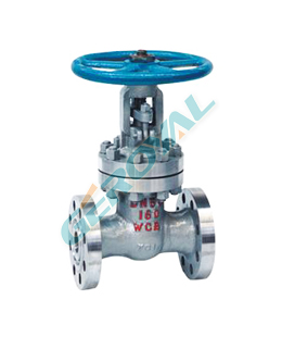 Flange gate valve